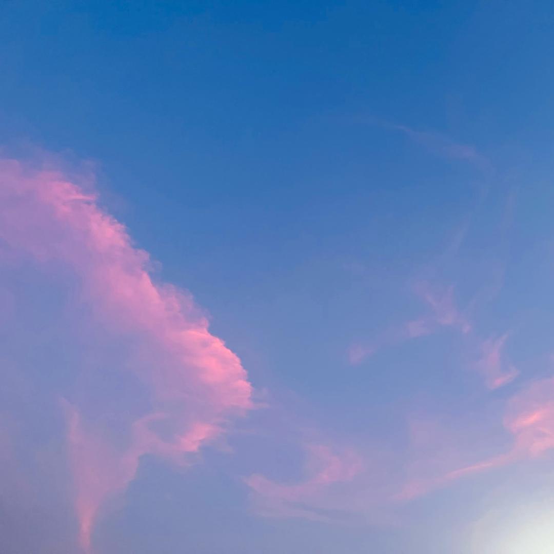 张老师素养文学