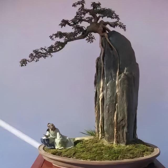 沭阳县花开印象花卉经营部