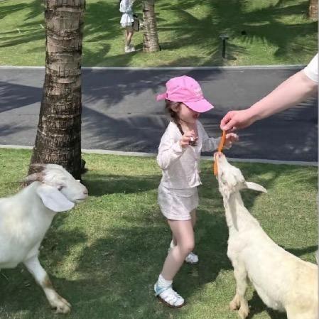 回想和你那三年好想回到三年前