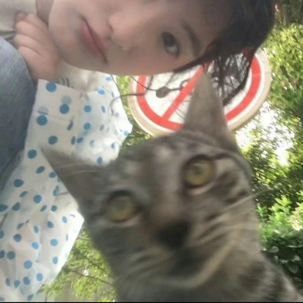 𝟕 𝟕大王