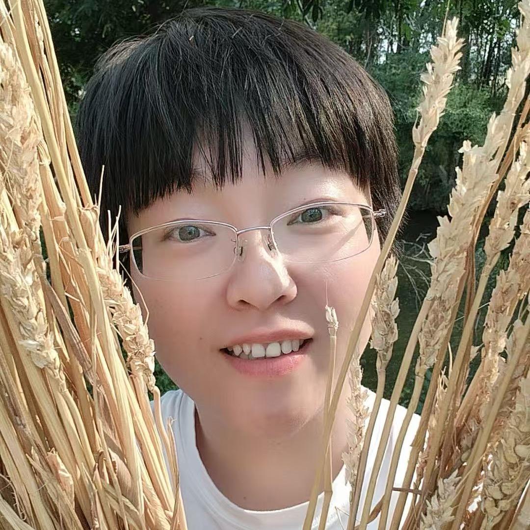 阿丫加油 停播些天进入第二三阶段中