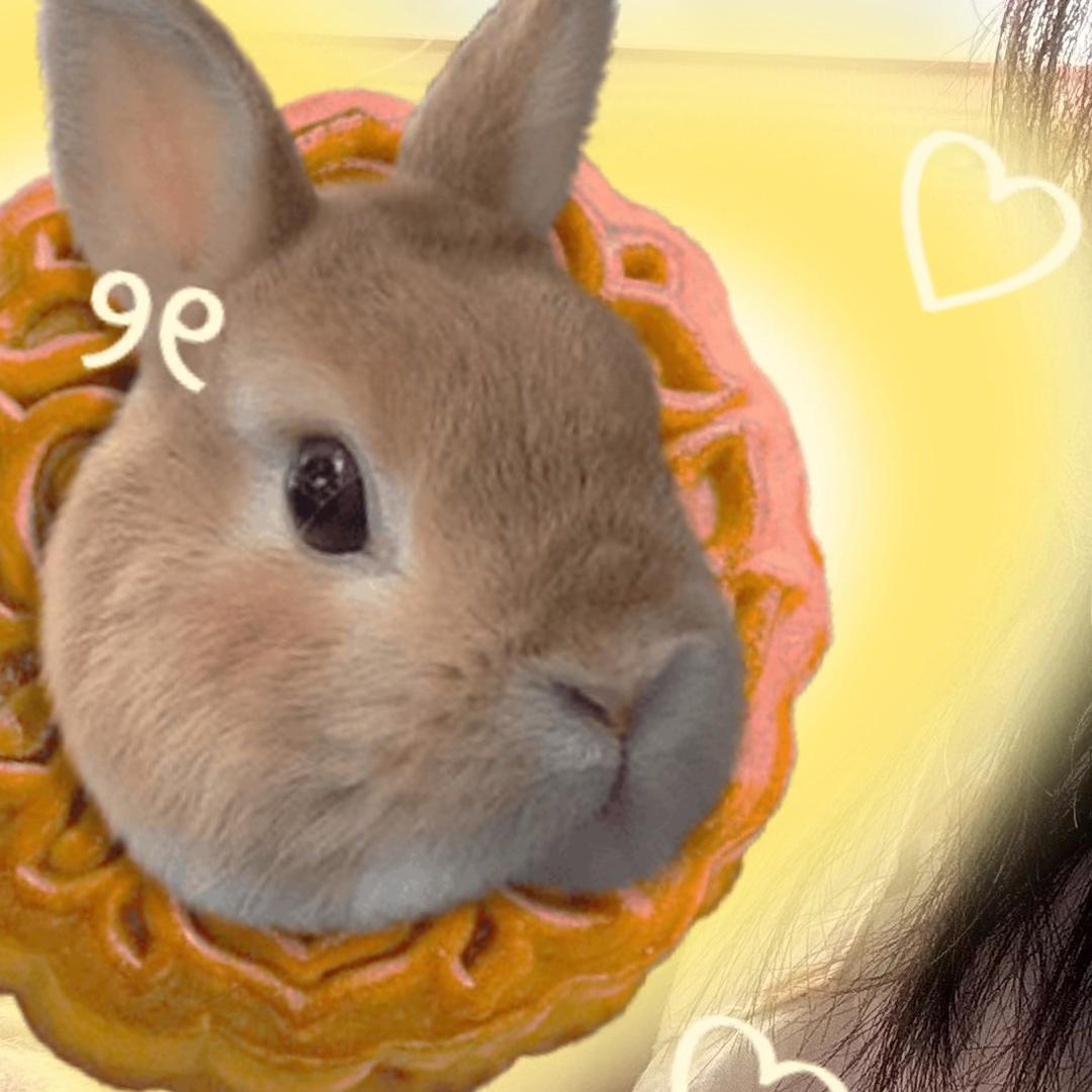 土豆是个臭美妞