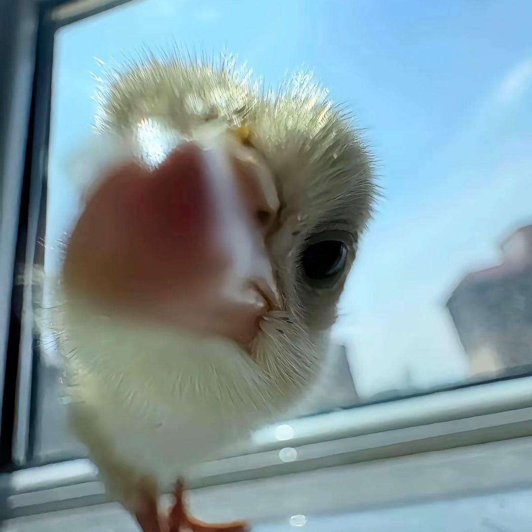 海口美兰区沣踏信息咨询工作室