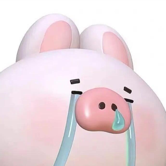 屁花花