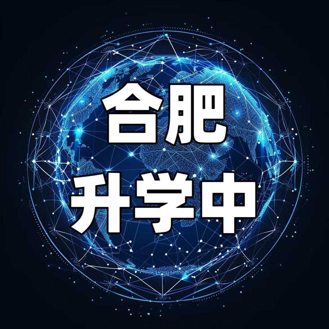 合肥小初咨询