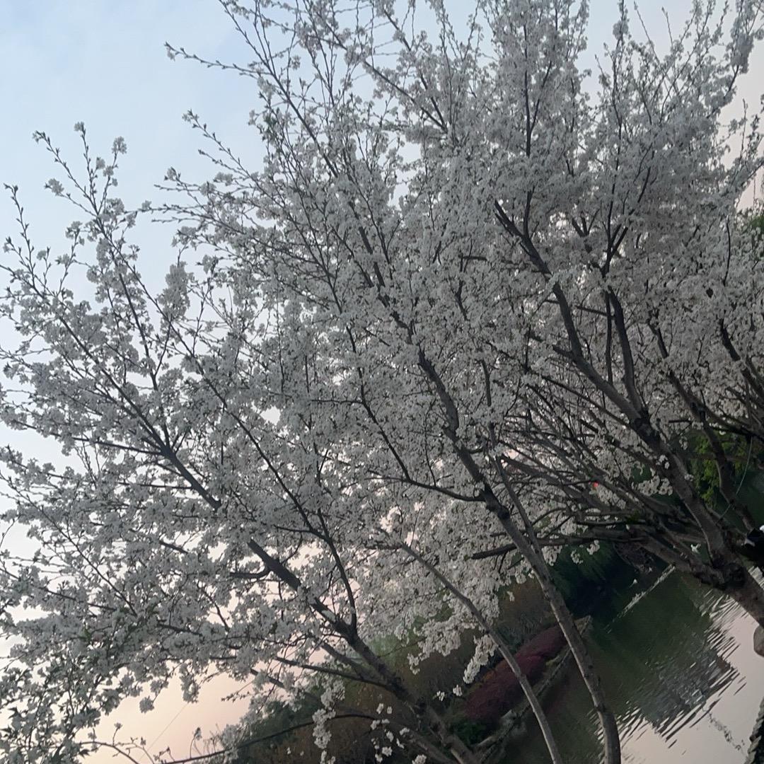 相遇