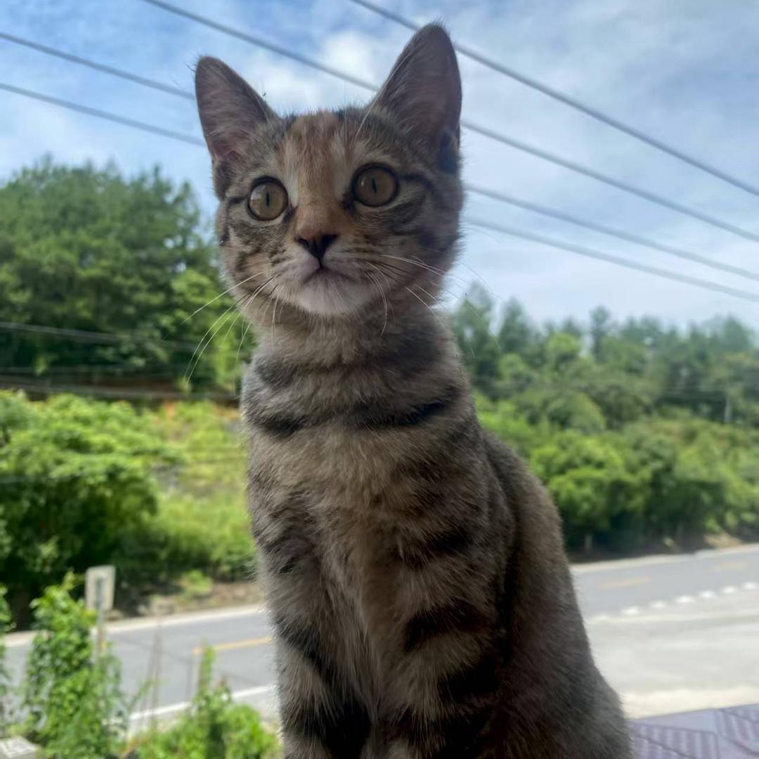 Ma^合江#集成墙顶全屋整装