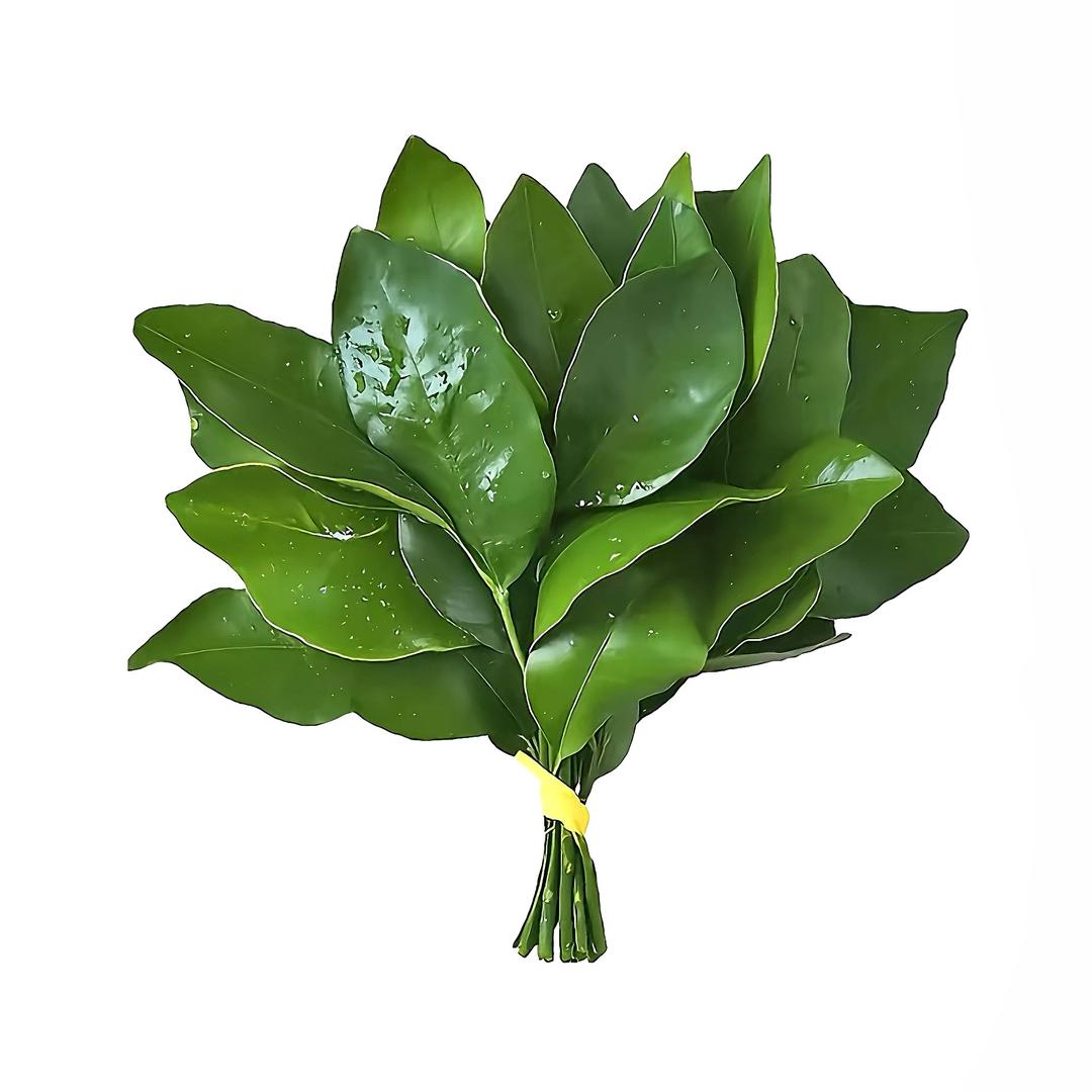叶以珊