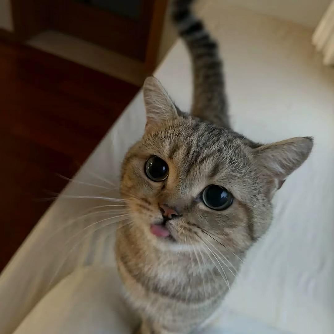 我很想你 但你不知道