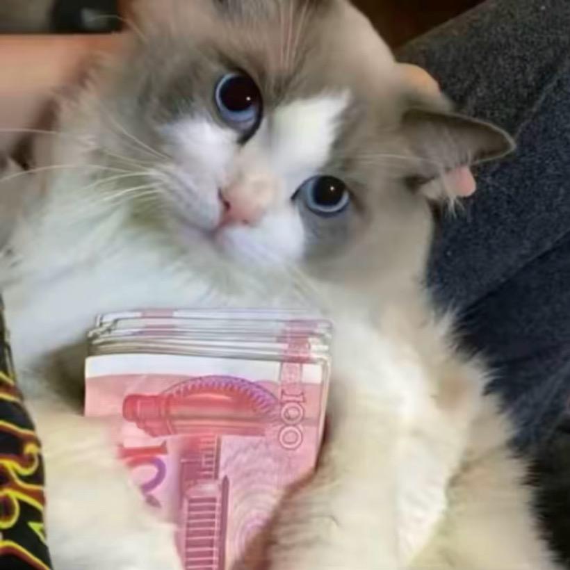 ️缘来️