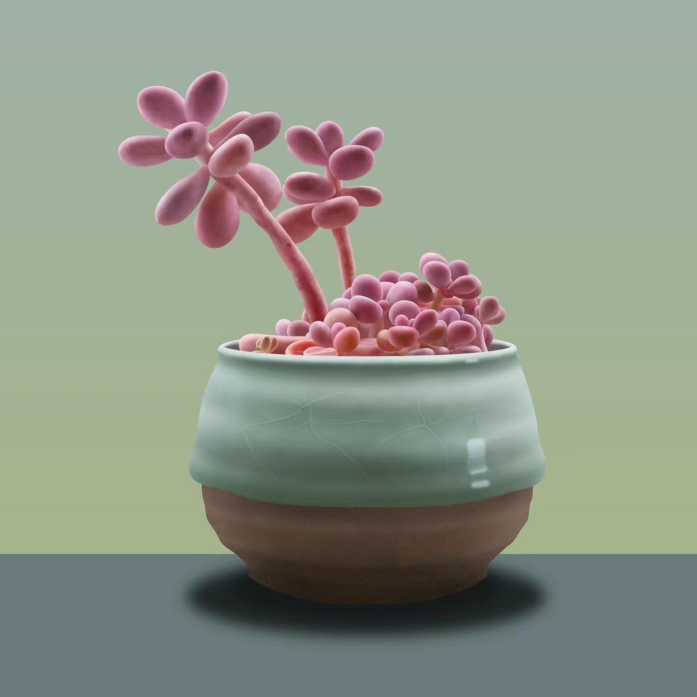 植卫仕园艺