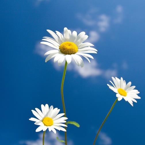 壹壹轻奢大牌优选2