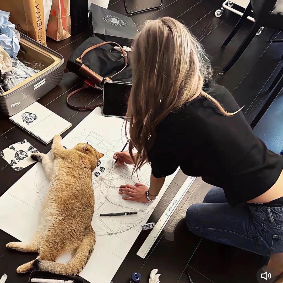 养只爱你的猫.