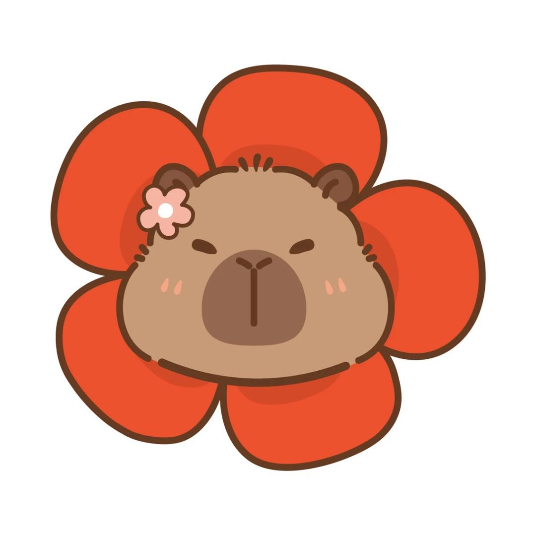 阳光小狮子🦁️