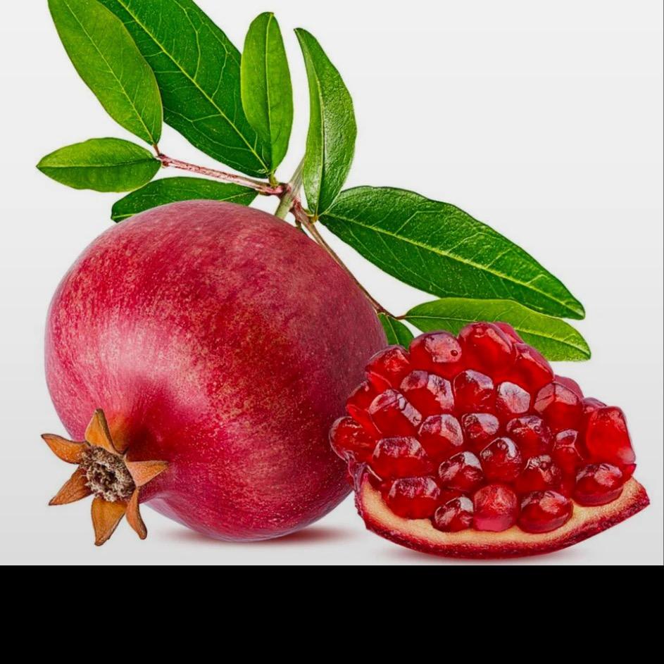 山水石榴盆景老桩