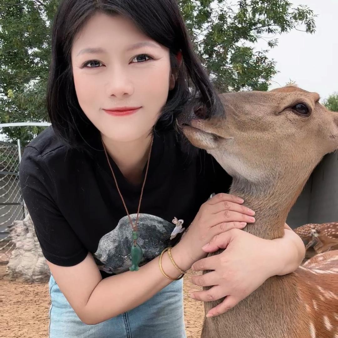 养鹿的小姐姐