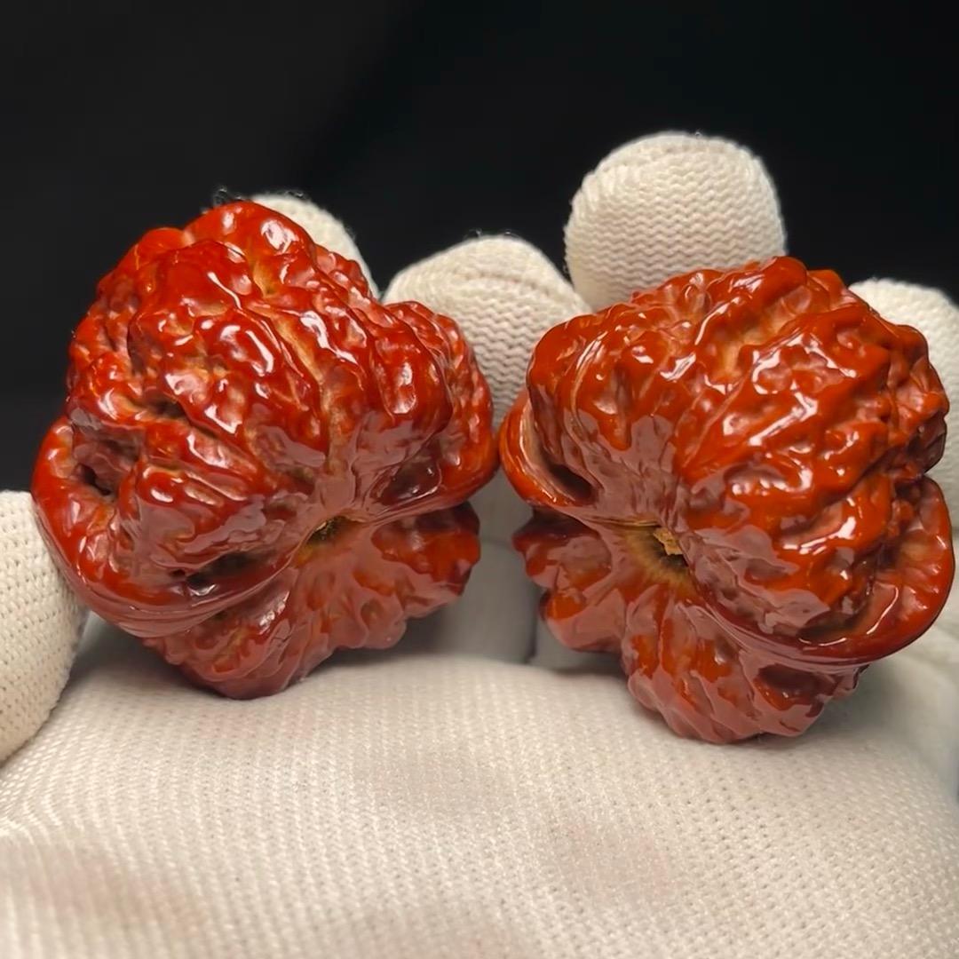 龙灿核桃龙灿