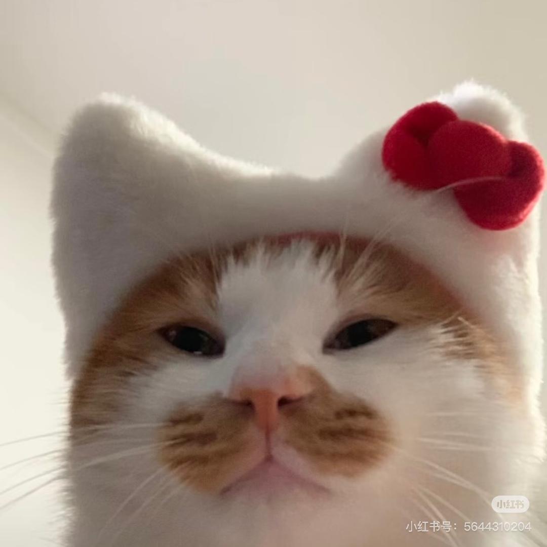 kiki7