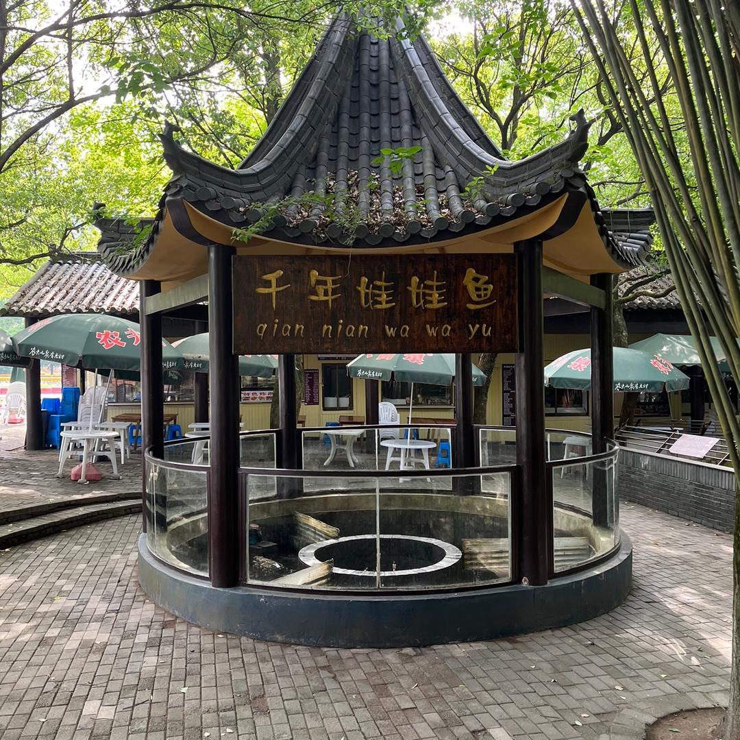 星光旅行