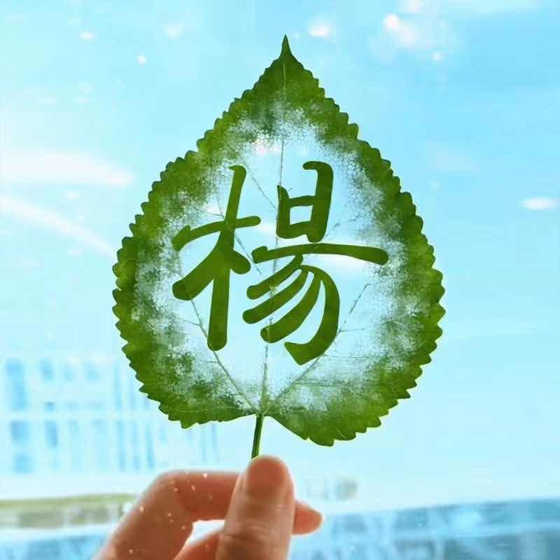 某某人