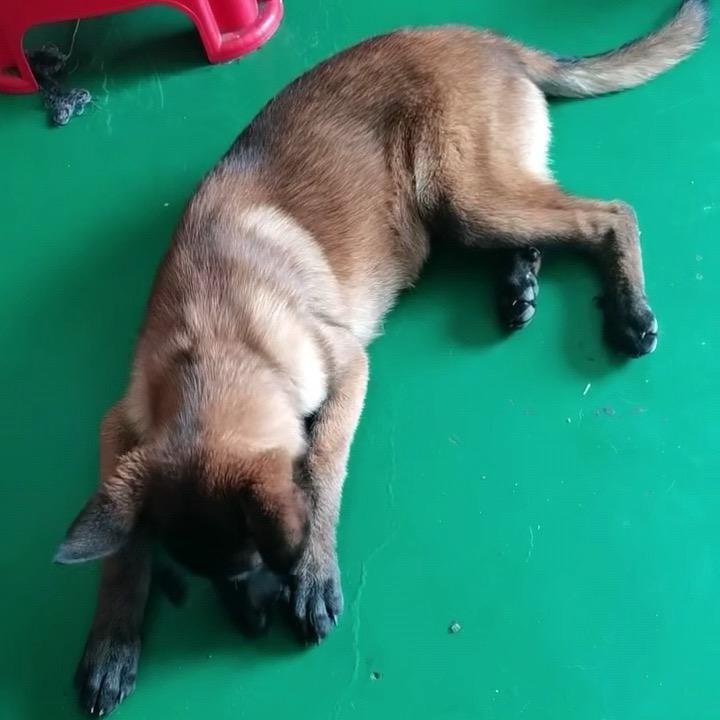 用户哈哈一笑