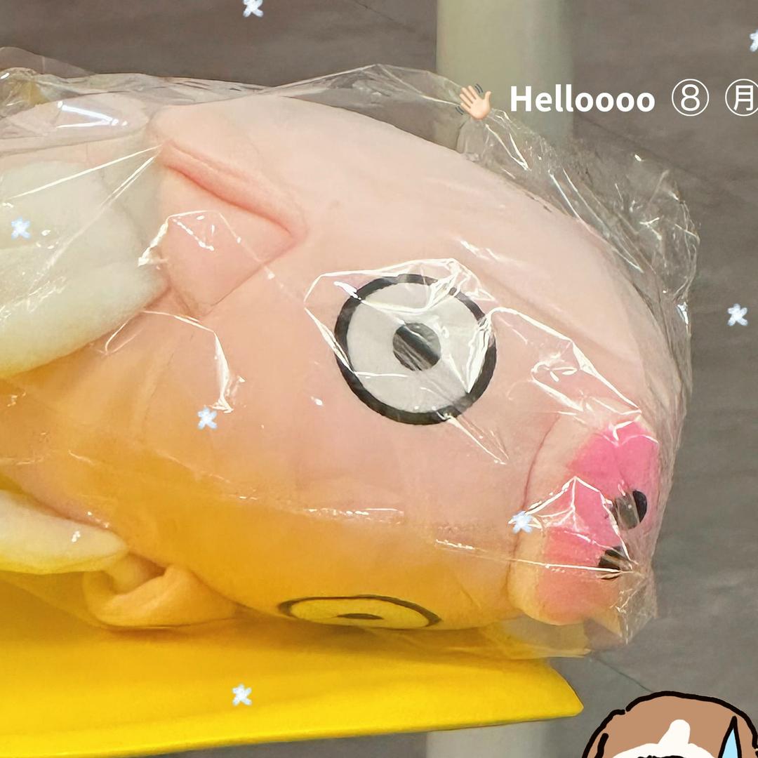 𝙀𝙖𝙩𝙖𝙖𝙖𝙧𝙤.