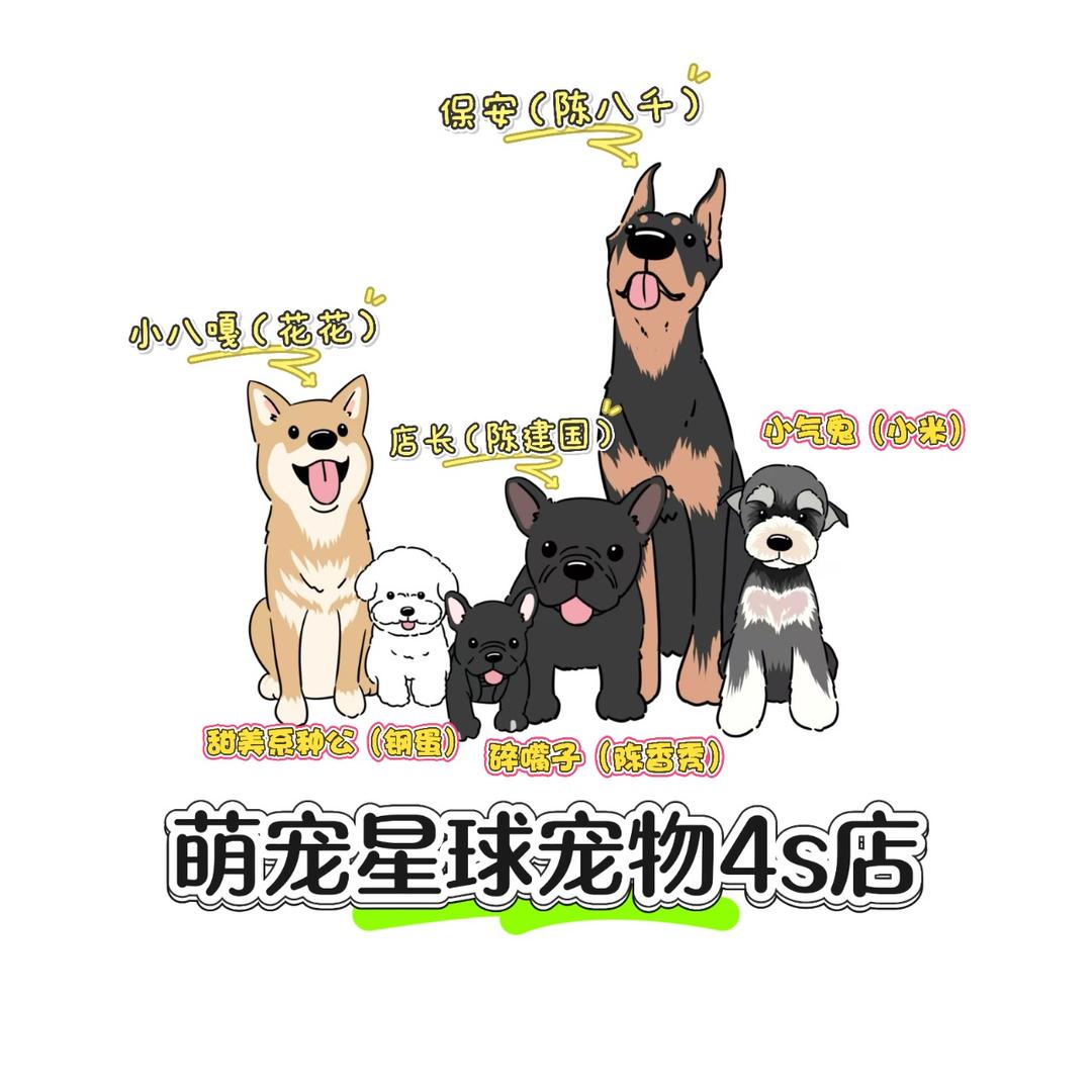 北川有只陈建国