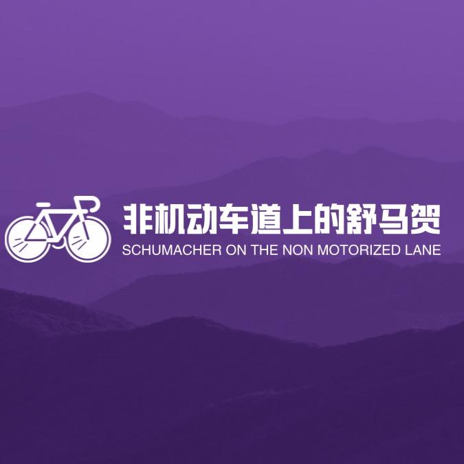 非机动车道的舒马贺