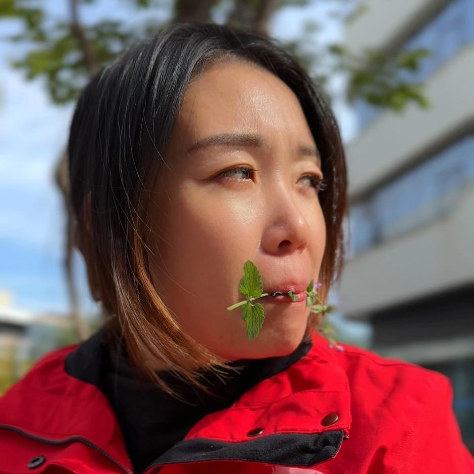 杜鹃