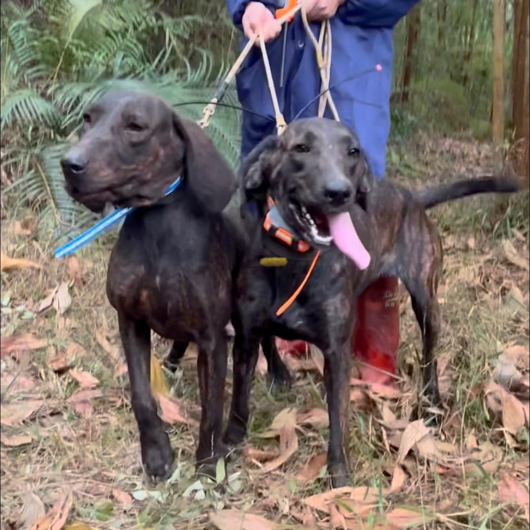 广东一通普罗特