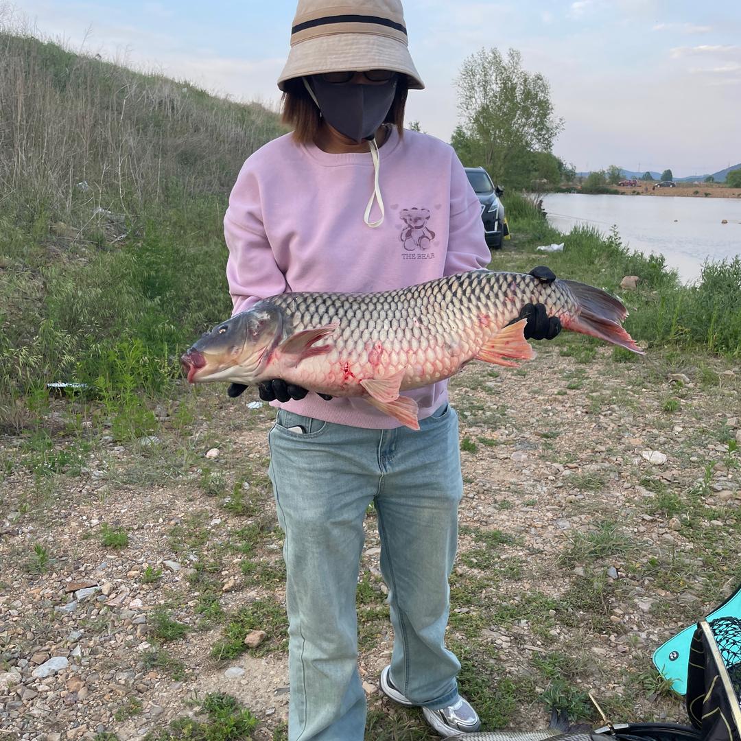 白洋河畔