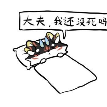 大狐老师