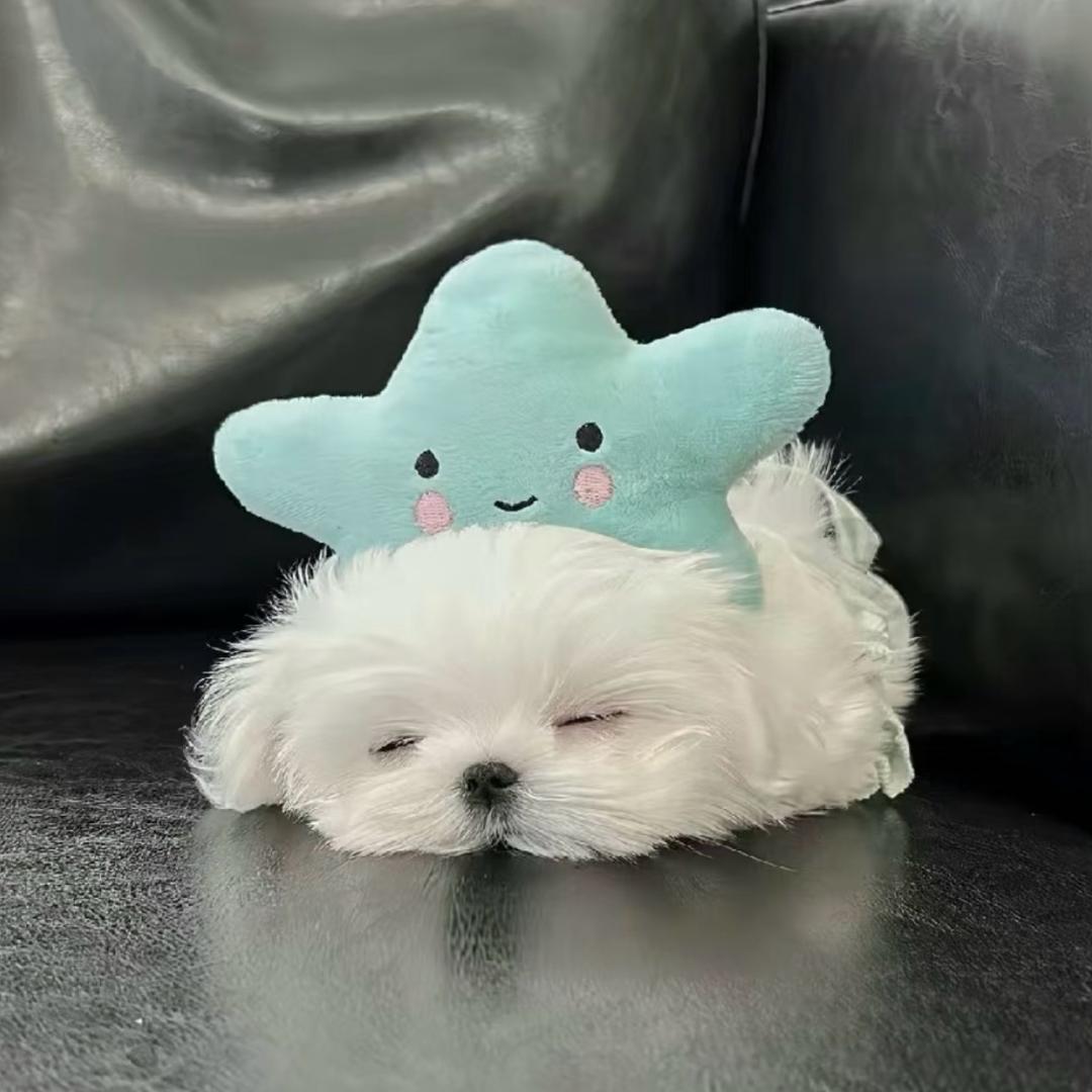 有点小u伤