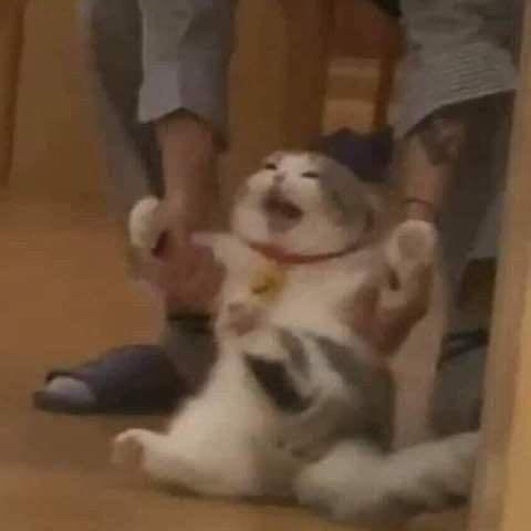 綠豆湯