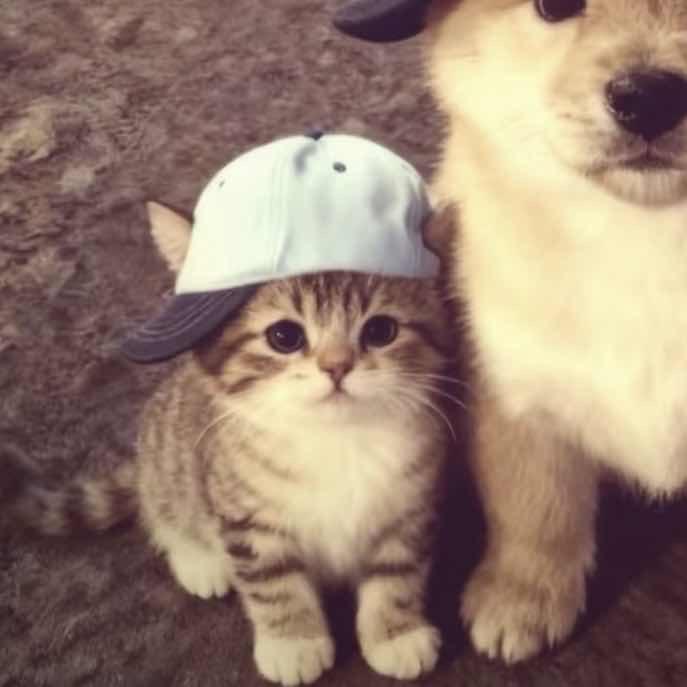 人傻嘴不甜又丑还没钱