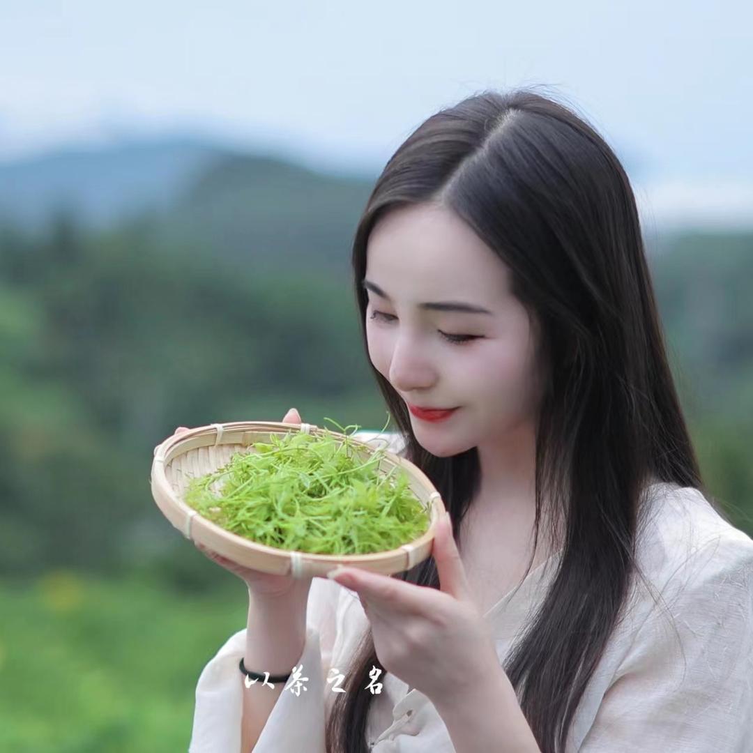 一界一仙（张家界莓茶）