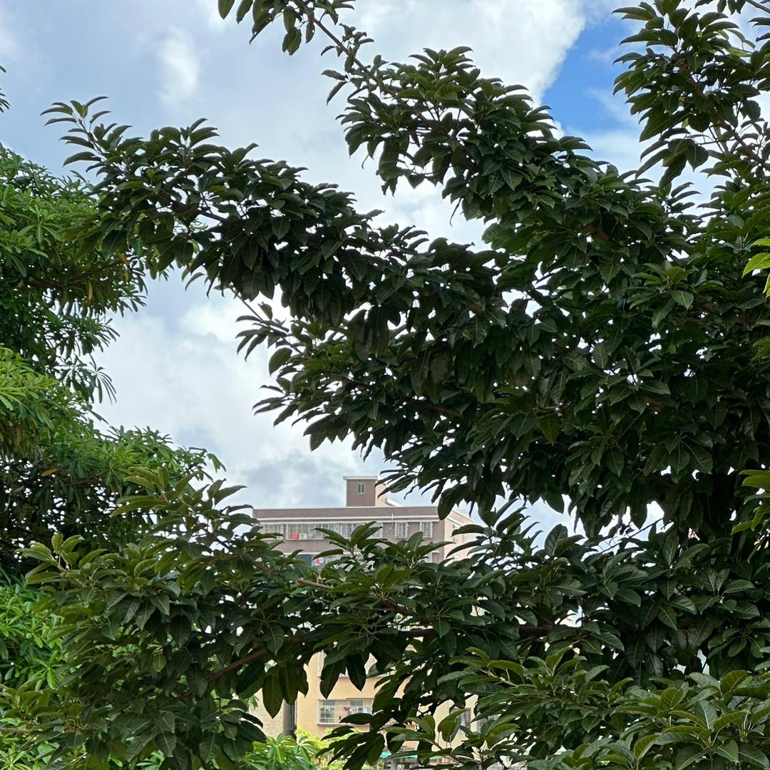小童代