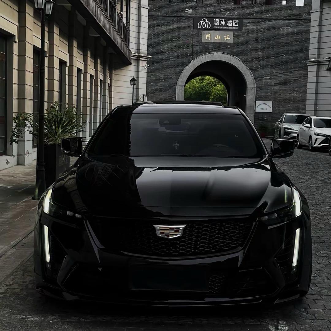 《A大明花格子》销售总监🥷