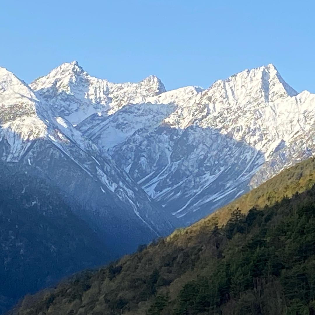 成都专业专注家具油漆，稀料，色精。