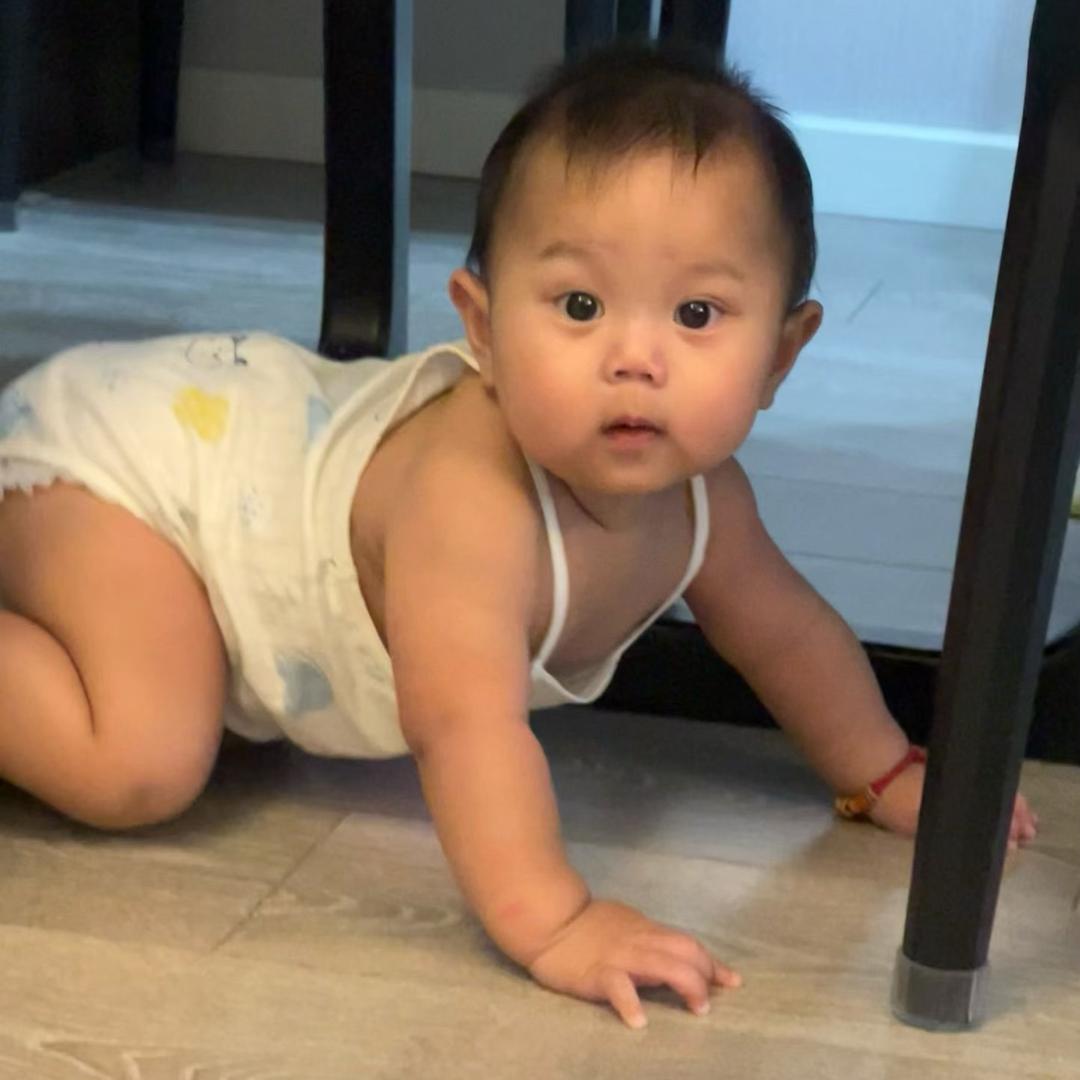 烘烤虾🌾（看过十勤演唱会版）