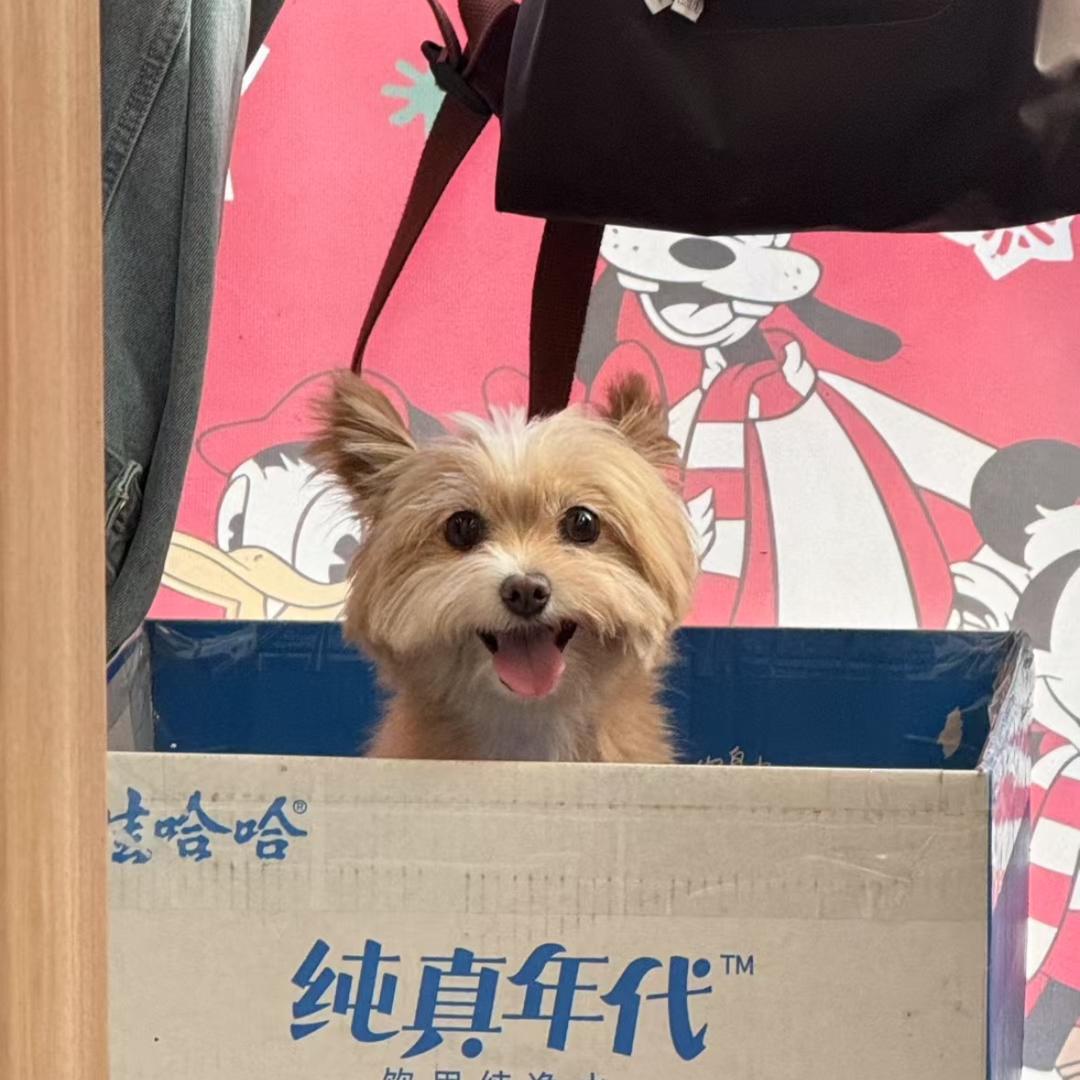 ꒦ິ^꒦ິ