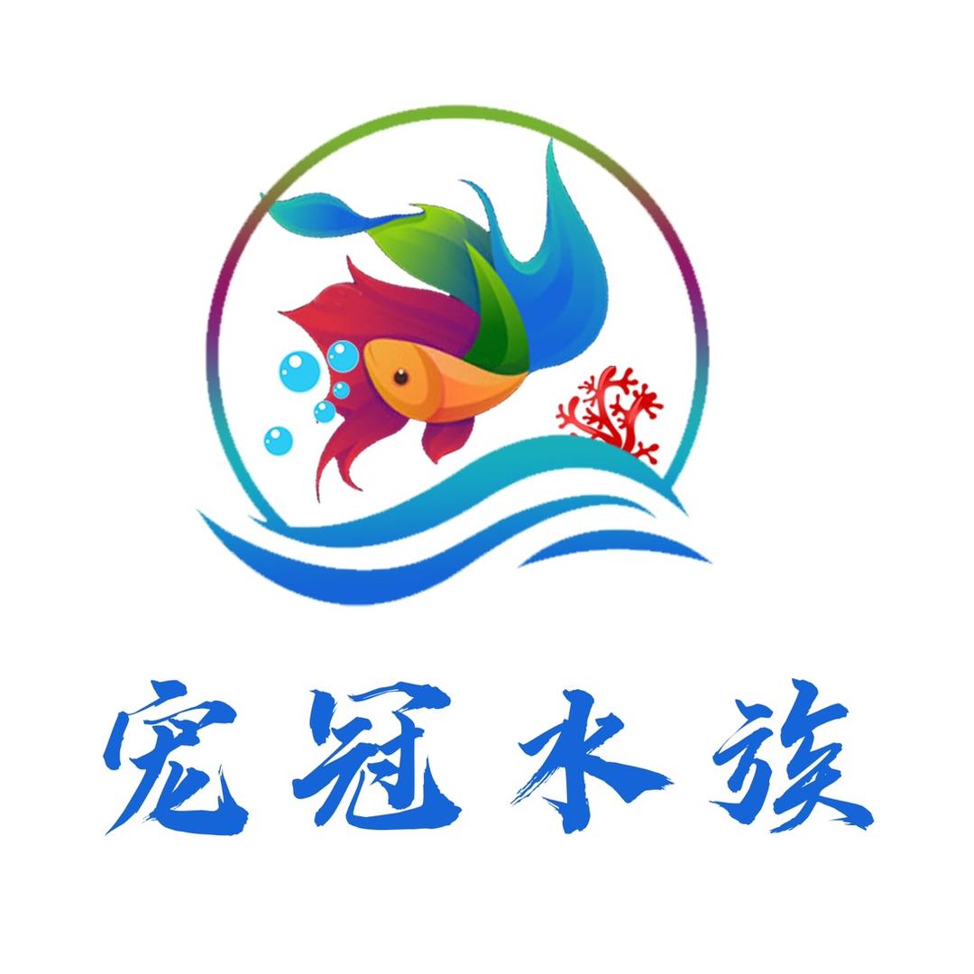宠冠企业店
