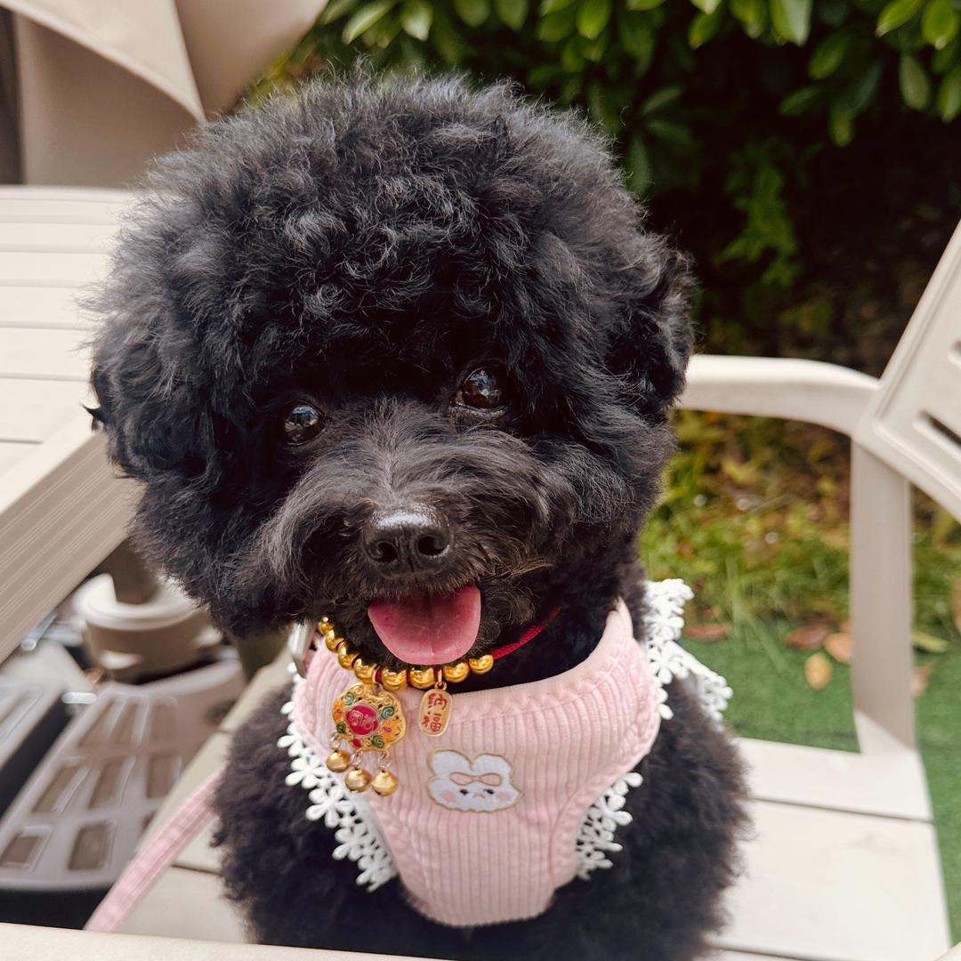 我脸¹点也不圆