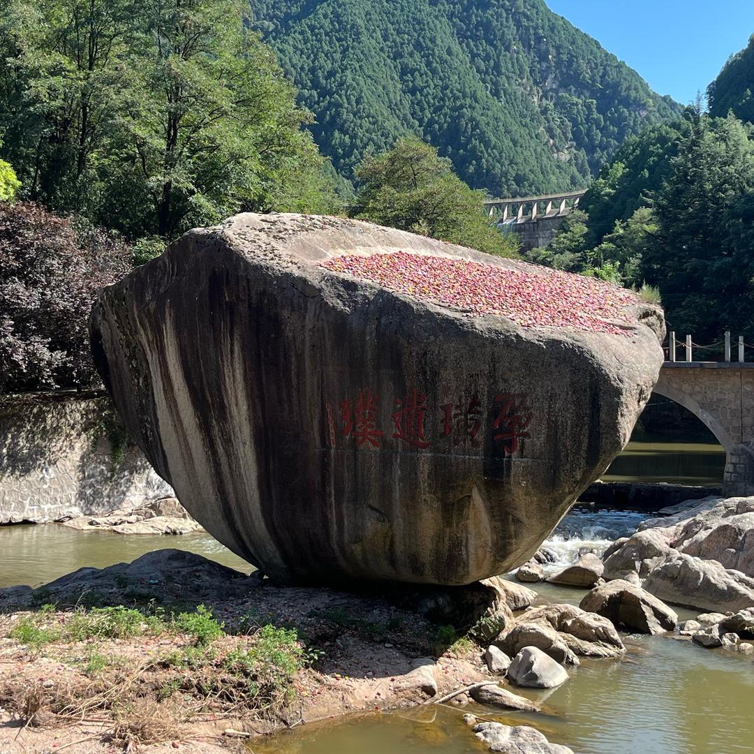 飞翔