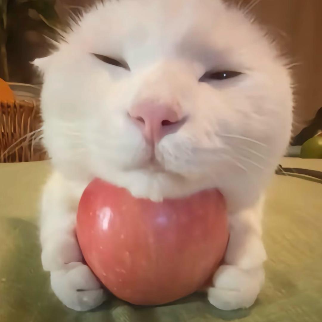 蘸料