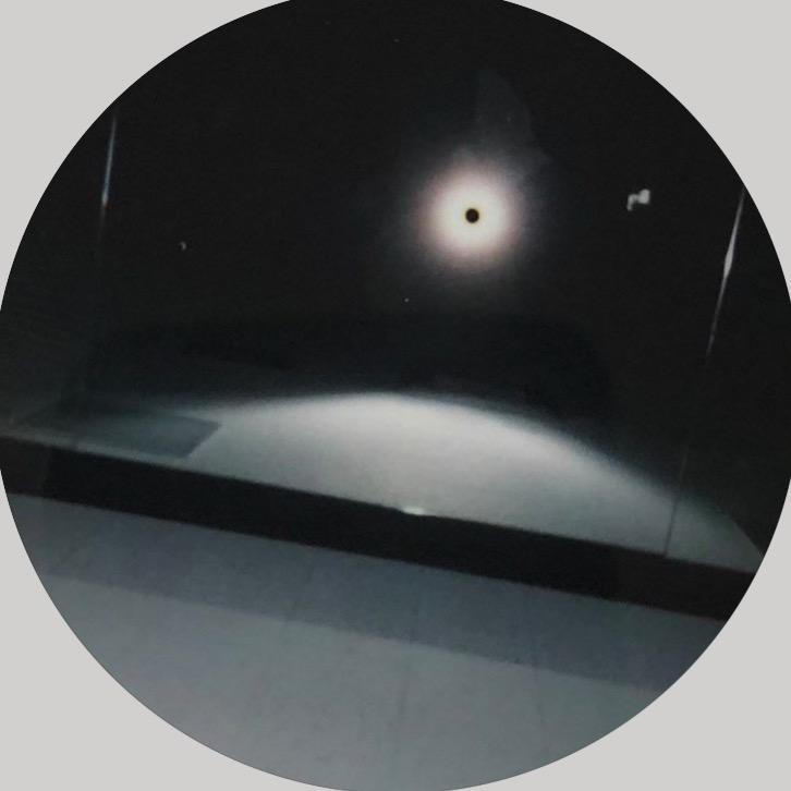 全网最恨猫弟账号