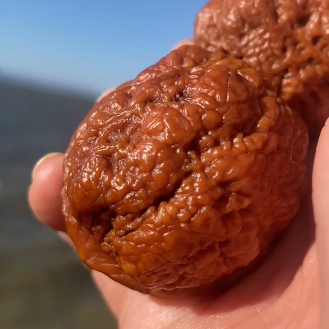 厂区招聘-小孙