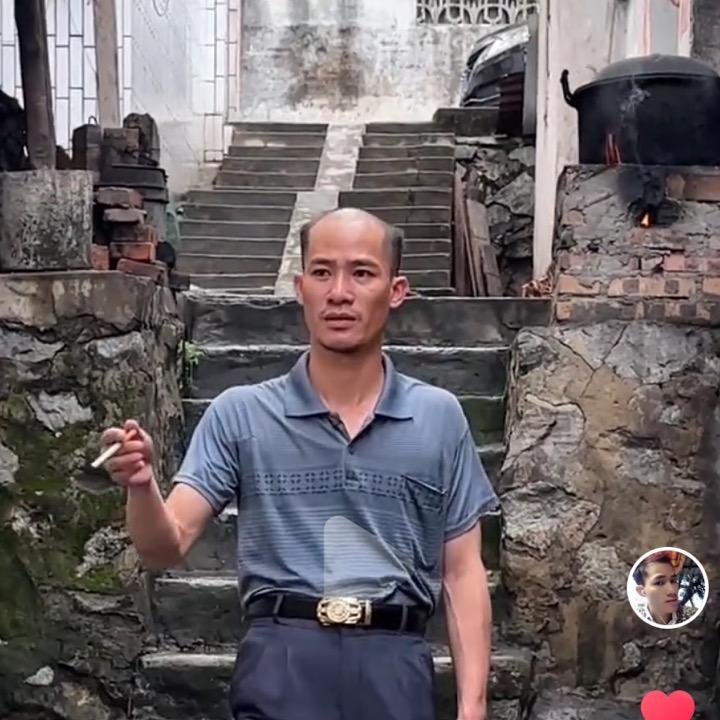 韦晨