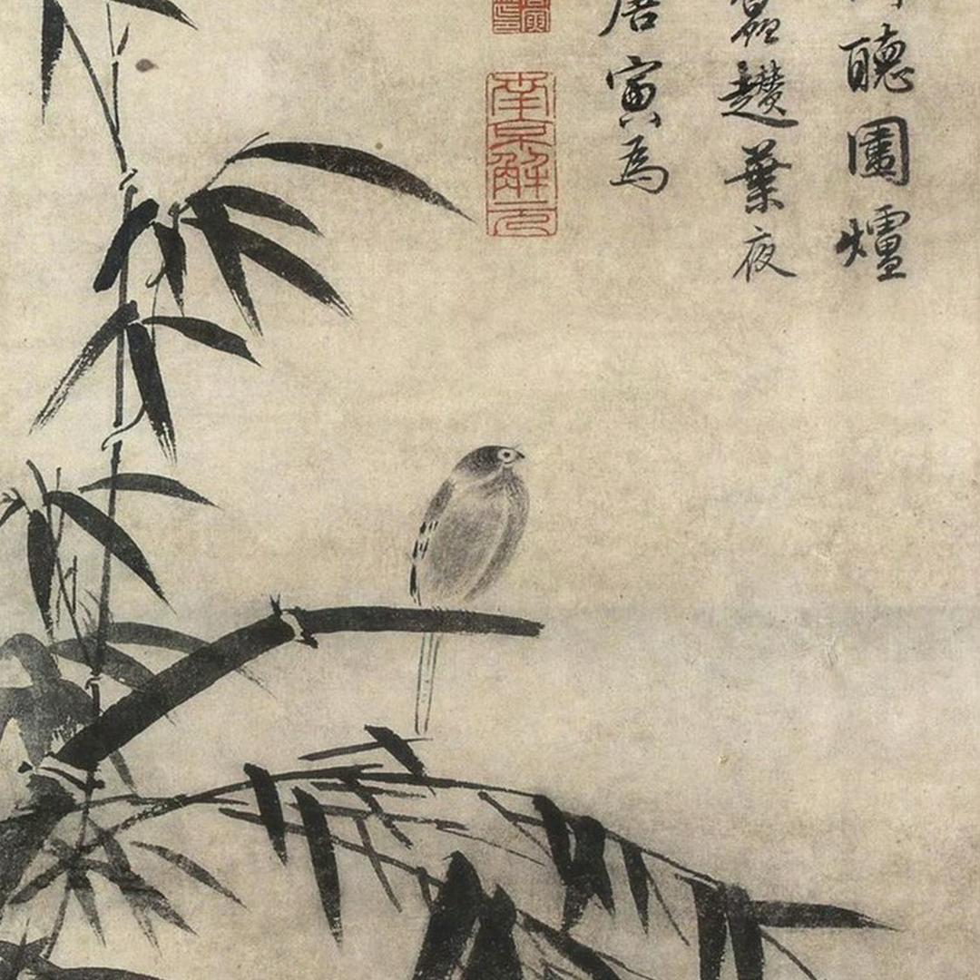若雨·美学🪞