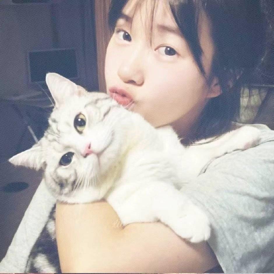 第六年椿